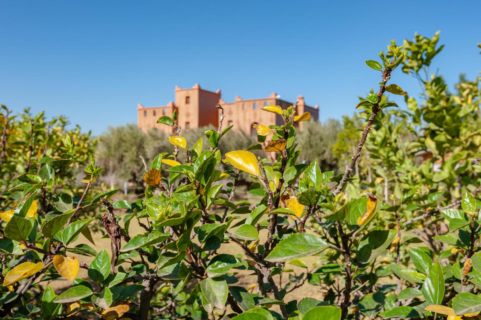 Ferme Sidi Safou & Spa Villa Marrakesh Exterior foto