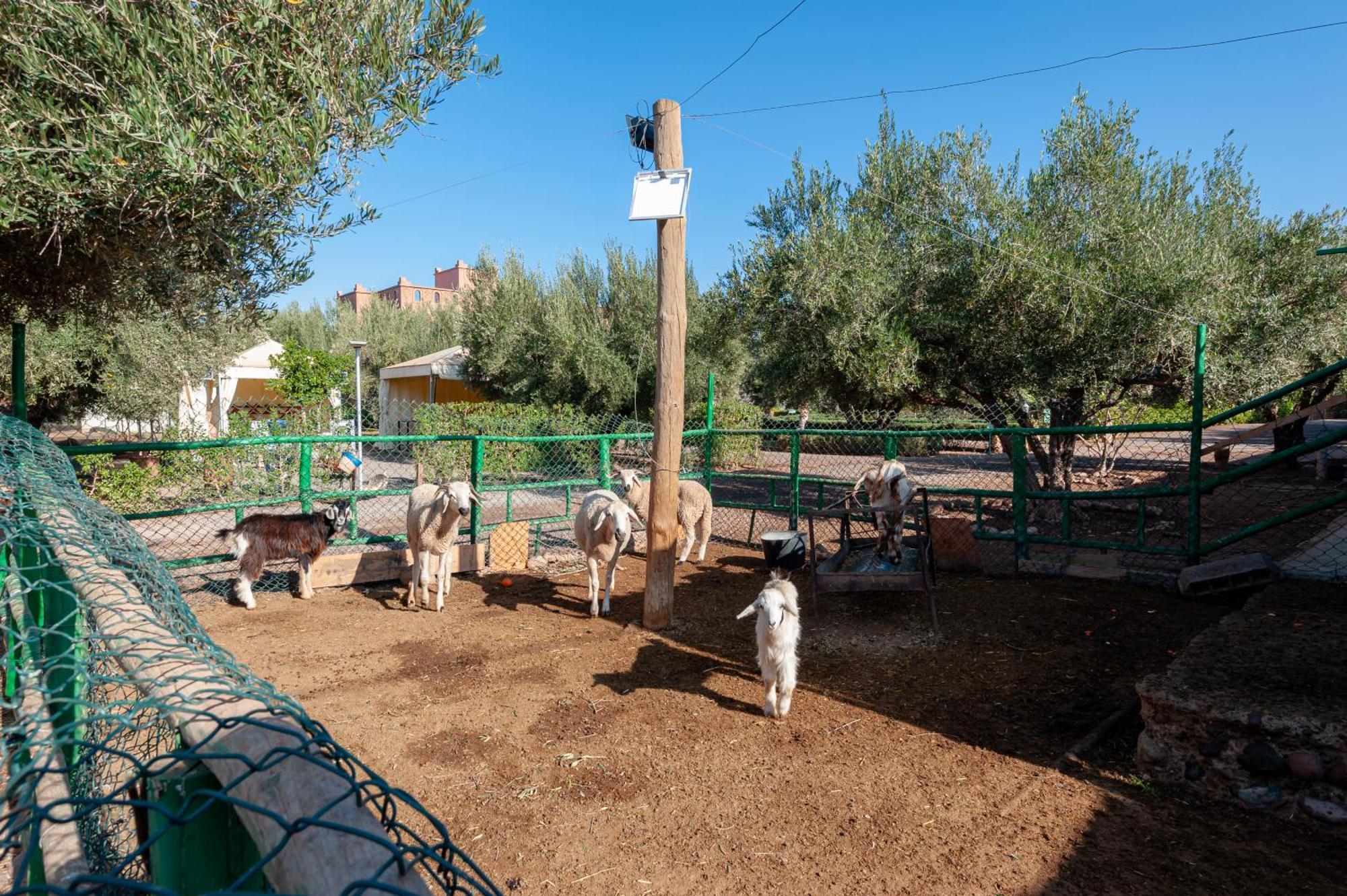 Ferme Sidi Safou & Spa Villa Marrakesh Exterior foto