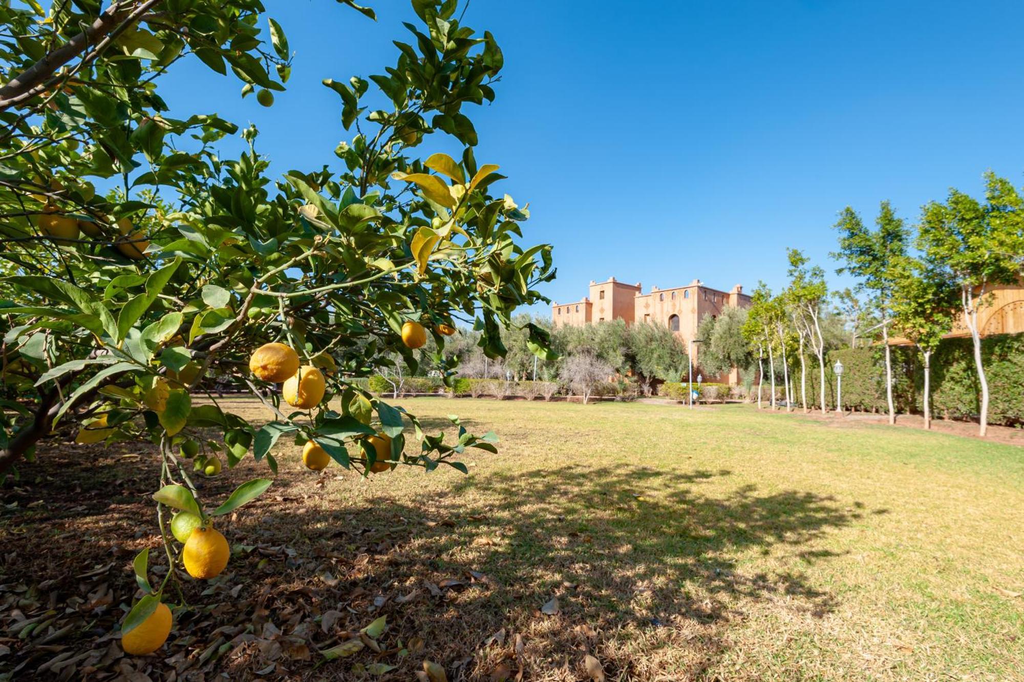 Ferme Sidi Safou & Spa Villa Marrakesh Exterior foto